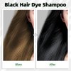 KAISASA Black Hair Dye Shampoo 3 in 1 for Gray Coverag Color Shampoo for Women/Men Instant Herbal Semi Permanent champu para canas