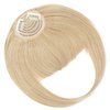 Cephermer Clip in Bangs, Synthetic Bangs Hair Clip Ash blonde mix Bleach Blonde