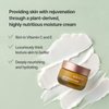 SONREVE Timely Enriched Cream Long-Lasting Hydration Facial Cream with Shea Butter Macadamia Oil Korean Skin Care K-Beauty 1.69 fl.oz
