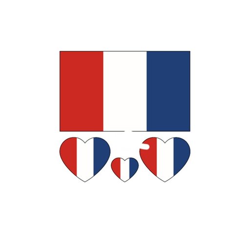 ZPDNURZL 10 Sheets France Flag Tattoos Stickers 40 Pcs Waterproof Sweat Sports National Flag Removable Fake Tattoos