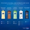 Vaseline Intensive Care Body Lotion, Cocoa Radiant, 20.3 oz