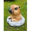 KQCQZ Garden Decoration Cute Marmot Gift Yard Home Decor Animal Statue Outdoor Décor for Lawn Patio Balcony & Courtyard