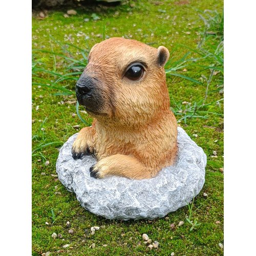 KQCQZ Garden Decoration Cute Marmot Gift Yard Home Decor Animal Statue Outdoor Décor for Lawn Patio Balcony & Courtyard