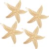 4 Pieces Starfish Hair Clip Metal Starfish Hairpin Sea Star Hair Clip Beach Hair Pins for Women Hair Accessories