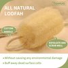 6Pack Luffa Sponges Gentle Exfoliating Body Scrubber for Shower Natural Loofah Sponge Unveil Your Skin's Natural Beauty…