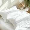 Degrees of Comfort Pillow Protectors (Set of 2) - Zippered Pillow Cover, Cotton Terry with 3M Scotchgard, Water Resistant, Standard Size, 21x27