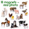 18 Fridge Magnets for Toddlers Magdum - MOM and Baby Kids Magnets for Fridge - Toddler Magnets for Refrigerator - Magnetic Animals - Fridge Magnets for Kids - Animal Magnets - Toddler Fridge Magnets