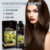 New Trends Hair Color Shampoo, Dark Brown - Instant Hair Color for Grey Hair, Ammonia Free, PPD Free, 16.9 Fl Oz (1 Bottle), Natural Henna, Herbs and Botanicals, Aloe Vera, Coconut Oil, Honey