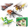 Insect Collection Building Block Set for Kids 6+, Butterfly Mantis Wasps Unicon Beetle Display Models for Nature Décor, 4 Packs Bug Building Toys, Fun Gift for Adults Boys Girls Nature Lovers (727PCS)