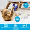 ALL FOR PAWS Interactives Cat Teaser Toy Catnip Toy Flutter Bug Cat Wand Toy Cat Fun Playing Toys Kitten Toys (Shiny Butterfly)