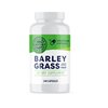 Vimergy Barley Grass Capsules, 30 Servings – Source of antioxidant - Contains Iron, Vitamin C, & Vitamin E – Non-GMO, Gluten-Free, Soy-Free, Vegan & Paleo – Daily Greens Booster (240 ct)