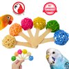 Bonka Bird Toys 2642 Pk6 Vine Lollipop Natural Chew Foot Talon Parrot Cage Toys, Cockatiel, Conure, Ringnecks, and Similar Breed Sizes