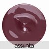 La Bella Donna High Gloss Mineral Lip Sheer Lip Gloss - Assunta