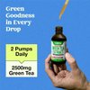 Green Tea 10:1 Extract 50% EGCG - Green Tea Liquid Drops - Vegan, 4X More Powerful Than Pills & Capsules - 2oz Antioxidant & Immune Supplement - Skin, Heart Support, Brain Health & Memory Boost
