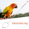 Parrot Foot Ring, Bird Anklet Chain Stainless Steel Bird Leash Parrot Opening Activity Ring Bird Stand Anklet Pet Bird Supplies for Cockatiel Sun Conure