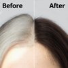 Daeng Gi Meo Ri – Korean Herbal Hair Dye Color Cream [Dark Brown] (2-PACK) - PPD-Free Gray Coverage, Hair Protection, High-Keratin Formula, 8.47 Oz