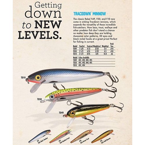 Rebel Lures Tracdown Minnow Slow-Sinking Crankbait Fishing Lure - Great for Bass, Trout and Walleye, Slick Gold Minnow, 2 1/2 in, 5/32 oz (TD50495)