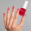 Dazzle Dry Nail Lacquer (Step 3) - Sugar Dipped - A sheer reddish pink. Jelly. Sheer. (0.5 fl oz)