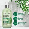 Svvimer Rosemary Hair Growth Shampoo: Thickening and Regrowth Formula for Men & Women - Rosemary Mint Strengthening Shampoo with Tea Tree Oil Biotin - For Thinning Hair and Hair Loss 11.8 fl.oz