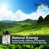 PureTea Green Tea Extract Pills 1000mg with EGCG - 98% Standardized Polyphenols - 3X Absorption Green Tea Capsules for Natural Energy - Heart Support with Antioxidants, Gentle Caffeine - 60 Capsules