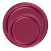 Party Favors Plus 24 Plates 9" Paper Dinner Lunch Plates Wax Coated - Burgundy