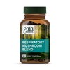 Gaia Herbs Respiratory Mushroom Blend - Immune Support Herbal Supplement to Help Maintain Overall Lung and Respiratory Health - WIth Reishi and Cordyceps* Mushrooms - 40 Vegan Capsules (40-Day Supply)