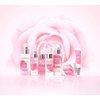 Physicians Formula Rosé All Day To Night Eye Cream, Dark Circles, Puffiness, Bags Under Eyes, Wrinkles | Dermatologist Tested, Clinicially Tested, Hypoallergenic