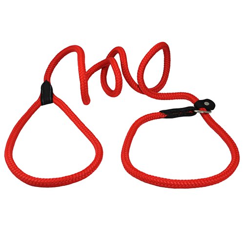 Dogs My Love Nylon Rope Slip Dog Lead Collar and Leash British Style 4ft Long (Medium: 3/8" (8mm), Red)
