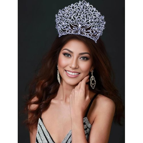 Janefashions Fancy Beauty Queen Crystal Rhinestone Tiara Crown With Hair Combs Wedding Bridal Beauty Contest Prom Pageant Silver T994