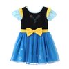 Dressy Daisy Ice Princess Dress Up Clothes Halloween Fancy Party Tulle Skirt Summer Outfit with Cape for Toddler Girls Size 2T, Style 16
