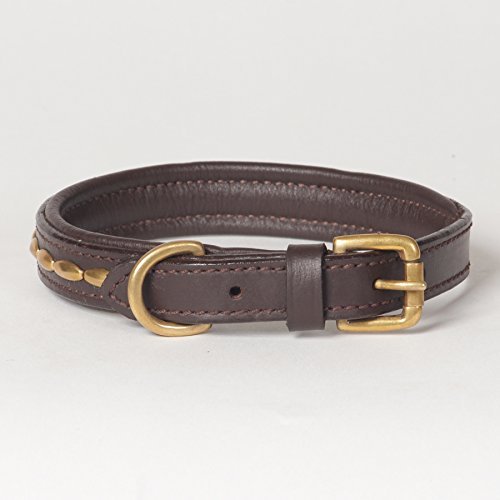 Small Genuine Leather Padded Decorated Camelot Dog Collar; Fits 12" - 14" Neck Size