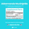 Healthfare Akkermansia Muciniphila Probiotic | 300 Billion AFU | 90 Vegan Capsules | Inulin Prebiotic for Gut Health & Digestive Support | Non-GMO, Gluten-Free | Made in USA