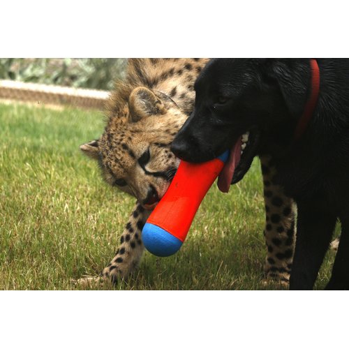 ChuckIt! Tumble Bumper Dog Toy, Medium