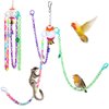 Parakeet Toys, Love Birds Toys, Bird Plastic Ball Toys Cockatiel, Budgerigar Hanging Swing for Climb Bird Cage Colorful Toys