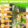 Wall Plant Clips for Climbing Plants - 110Pcs Plant Support Clips Reusable Climbing Plant Wall Clips for Plant Vines - 3 Sizes Garden Clips for Plants Self Adhesive Plant Training Clips for Wall