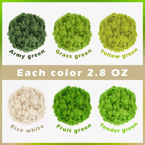 6 Colors Preserved Moss-16.9 OZ Natural Reindeer Moss-Moss for Crafts, Potted Plants Floral Arrangements Home Artistic Garden Decoration