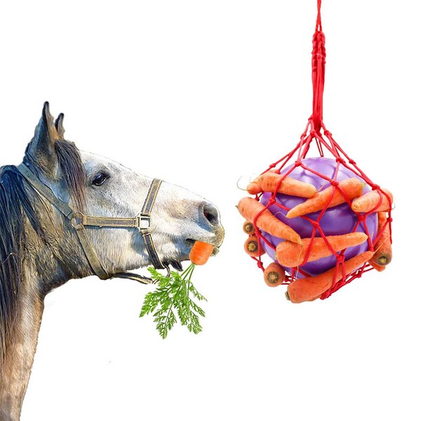 Tirifer Horse Treat Ball Carrot Feeder Toy Hanging Feeding Toy Goat Feeder Ball for Horse Goat Sheep Relieve Stress, Horse Stable Stall Paddock Rest