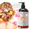 Laritelle Organic Shampoo 17.5 oz. Argan Oil, Rosemary, Palmarosa. Promotes Hair Growth, Prevents Hair Loss. GF