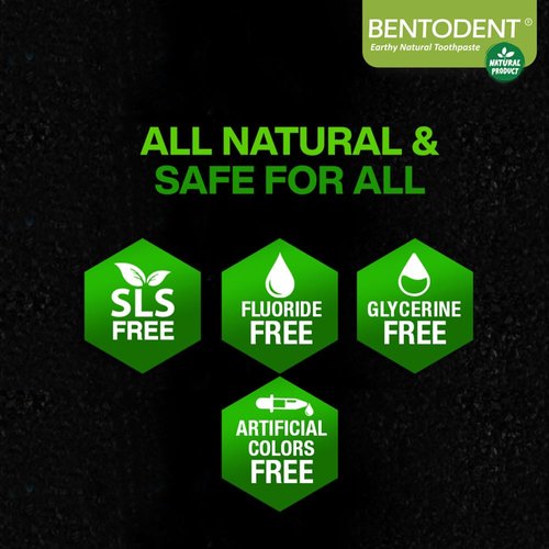 BENTODENT Teeth Whitening Bentonite Clay & Charcoal Toothpaste - Natural Teeth Whitening Charcoal toothpaste, No SLS & Fluoride free toothpaste, Vegan (Activated Charcoal Mint Combo)