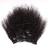 ZigZag Hair Afro Kinky Curly Clip In Human Hair Extensions Brazilian Virgin African American 4B 4C Clip in Hair Extensions Natural Clip Ins For Black Women (16inch, 3B 3C)