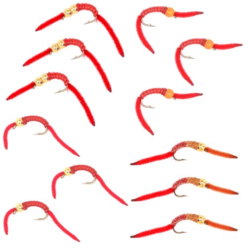 The Fly Fishing Place San Juan Worm Trout Fly Assortment Power Bead Worms 1 Dozen Wet Nymph Fly Fishing Flies - Hook Size 10-3 Each of 4 Patterns