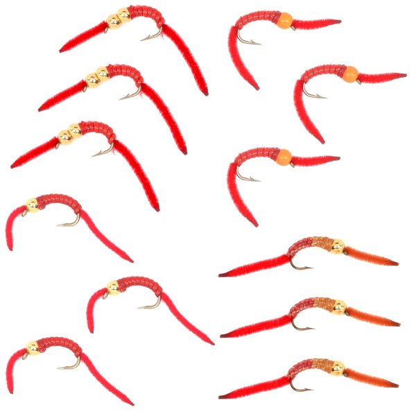 The Fly Fishing Place San Juan Worm Trout Fly Assortment Power Bead Worms 1 Dozen Wet Nymph Fly Fishing Flies - Hook Size 10-3 Each of 4 Patterns