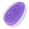 VOCOSTE Hair Brush, Travel Portable Hair Brush, Detangling Hair Brush, Mini Egg Shape Massage Hair Brush for Women, Gradient Purple