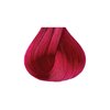 Kiss Tintation Semi-Permanent Hair Color Treatment 148 mL (5 US fl.oz) (Pink Obsession)