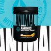 Animal Juiced Amino Acids - BCAA Powder EAA Matrix Plus Hydration with Electrolytes and Sea Salt Anytime Recovery and Improved Performance, Orange Flavor, 30 Servings