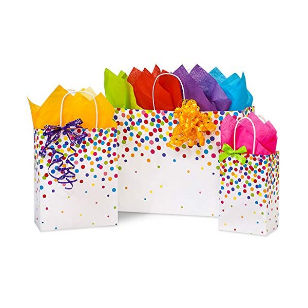 Stephanie Imports Made in USA Set of 6 Rainbow Confetti Paper Shopping Bags (3 sizes) With Tissue Paper - 100% Recyclable