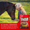 Mrs Pastures Cookies and Treats for Horses - Premium Horse Treats - Made with Apples, Oats, and Rolled Barley - Preservative Free - All Natural Ingredients - No Corn or Soy - Made in USA - (8oz Bag)