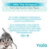 Caitec Presents Nala Cat Ollie The Octopus - Catnip Toy - Interactive Cat Toy - Chew Toy - Pillow Toy, 2 Pack