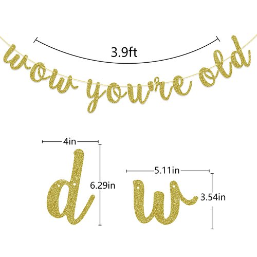 Wow You're Old Banner, 40th 50th Birthday Party Decorations, 60th 70th Sign Backdrop, 80th 90th Supplies (Gold Glitter)