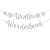 3Pcs Winter Wonderland Banners, Glittery Snowflake Banner Christmas Decorations Banners Winter Holiday Garland Photo Props Banner for Party Home Decor (Silver Blue)